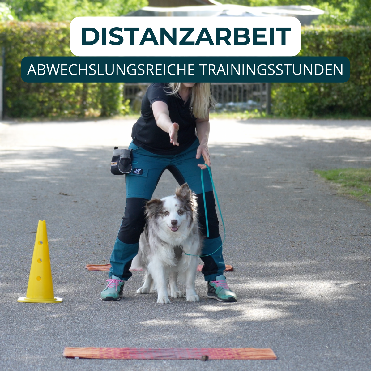 Hundeschule, Verhaltensberatung, Verhaltenstraining, Rückruf, Leinenführung