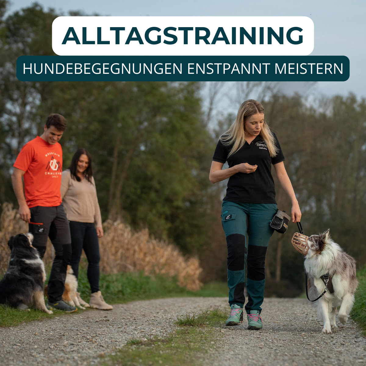 Hundeschule, Verhaltensberatung, Verhaltenstraining, Rückruf, Leinenführung