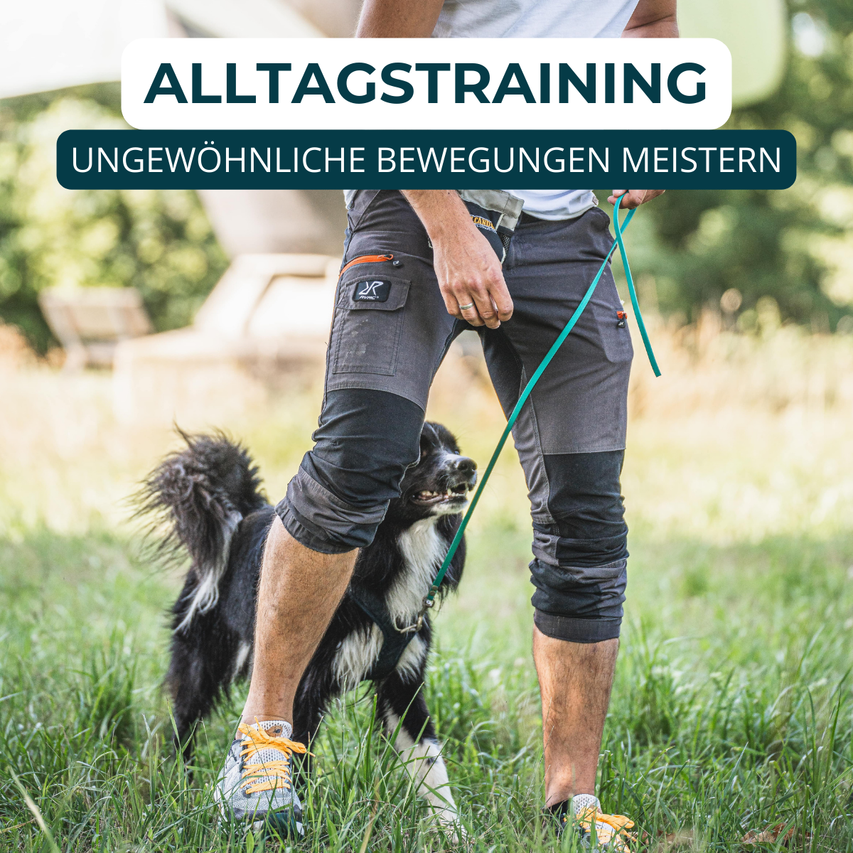 Hundeschule, Verhaltensberatung, Verhaltenstraining, Rückruf, Leinenführung